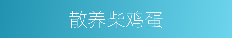 散养柴鸡蛋的同义词