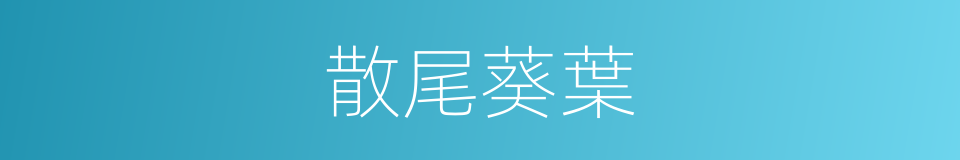 散尾葵葉的同義詞