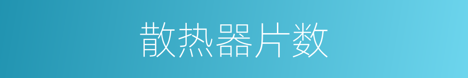 散热器片数的同义词