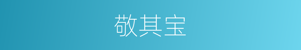 敬其宝的同义词