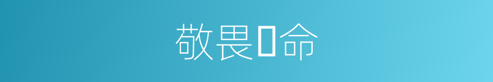 敬畏⽣命的同义词