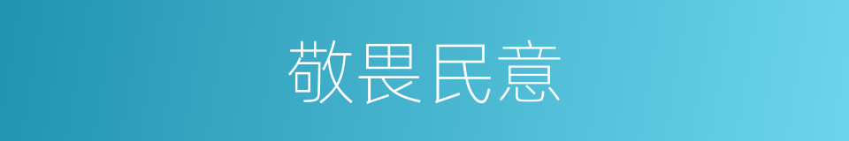 敬畏民意的同义词