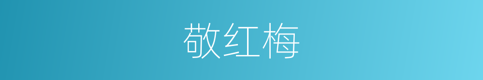 敬红梅的同义词