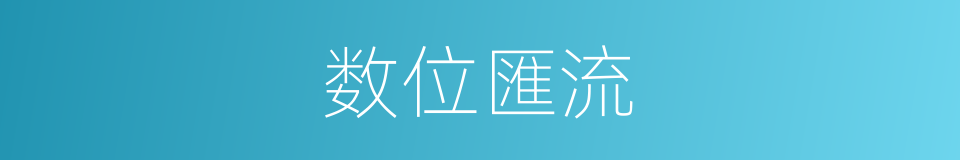 数位匯流的同义词