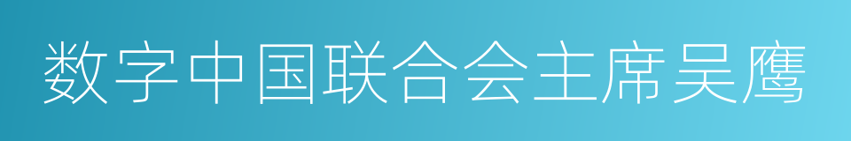 数字中国联合会主席吴鹰的同义词