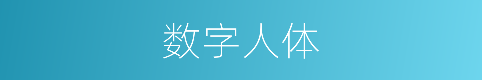 数字人体的同义词