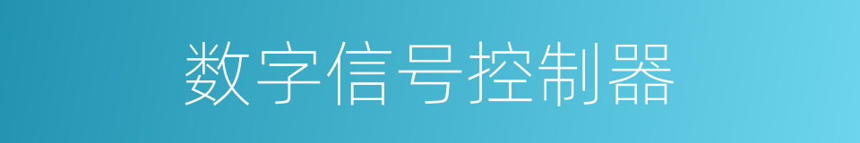 数字信号控制器的同义词