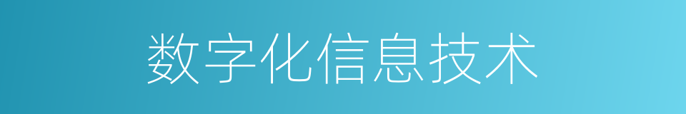 数字化信息技术的同义词