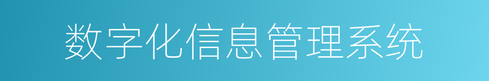 数字化信息管理系统的同义词