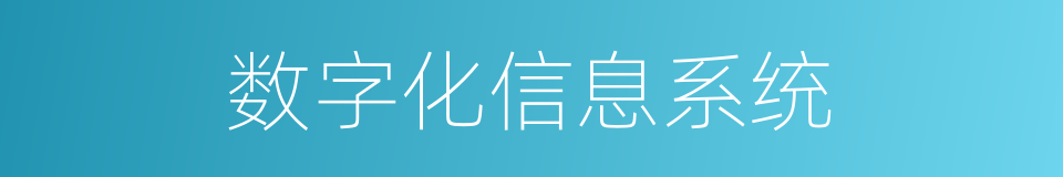 数字化信息系统的同义词