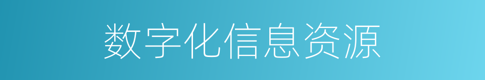 数字化信息资源的同义词