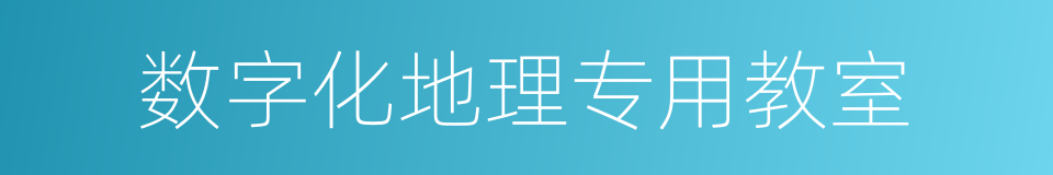 数字化地理专用教室的同义词