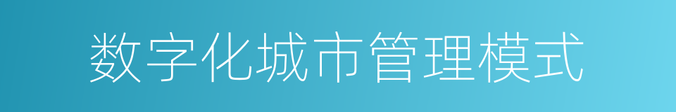 数字化城市管理模式的同义词
