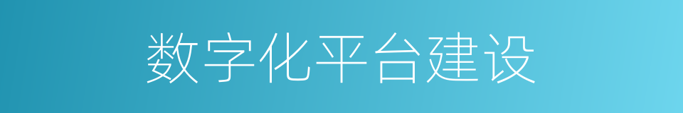 数字化平台建设的同义词