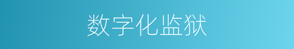 数字化监狱的同义词