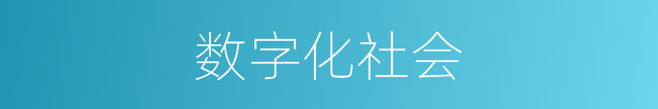 数字化社会的同义词