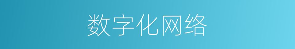 数字化网络的同义词