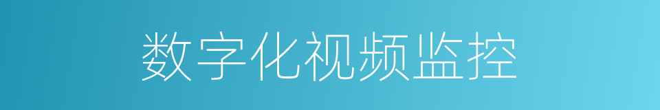 数字化视频监控的同义词