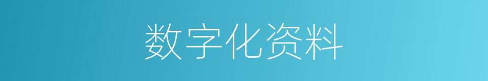 数字化资料的同义词