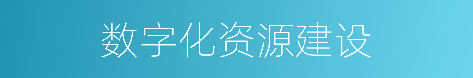 数字化资源建设的同义词