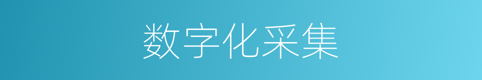 数字化采集的同义词