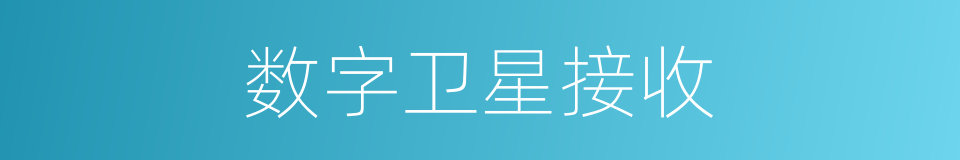 数字卫星接收的同义词