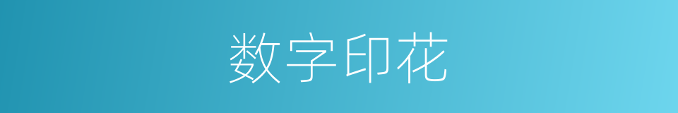 数字印花的同义词