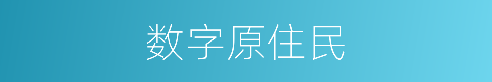 数字原住民的同义词