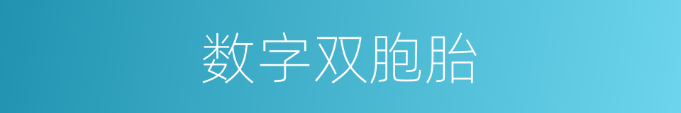 数字双胞胎的同义词