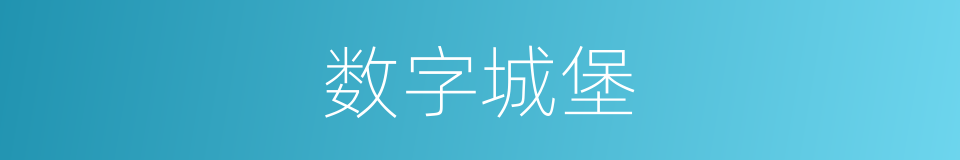 数字城堡的同义词