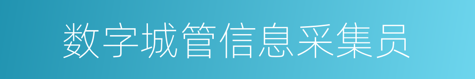 数字城管信息采集员的同义词