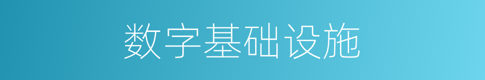 数字基础设施的同义词
