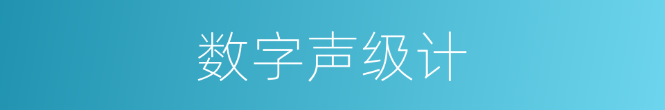 数字声级计的同义词