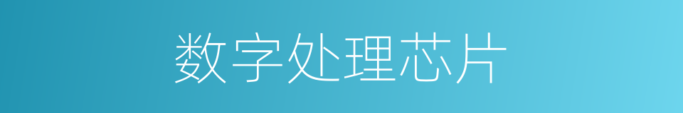 数字处理芯片的同义词