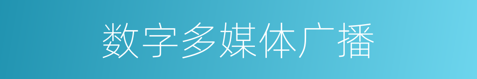 数字多媒体广播的同义词