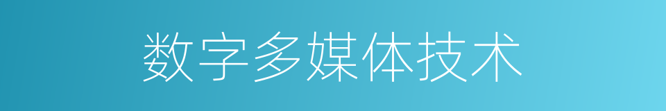 数字多媒体技术的同义词