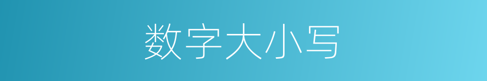 数字大小写的同义词