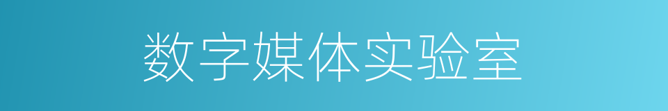 数字媒体实验室的同义词