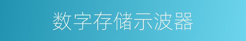 数字存储示波器的同义词