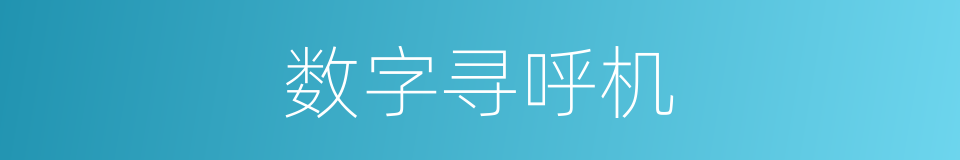 数字寻呼机的同义词