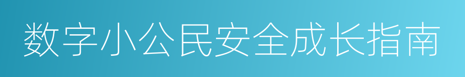 数字小公民安全成长指南的同义词