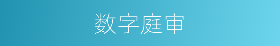 数字庭审的同义词