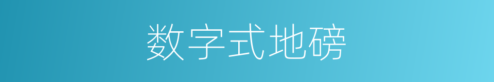 数字式地磅的同义词