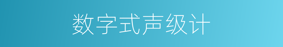 数字式声级计的同义词