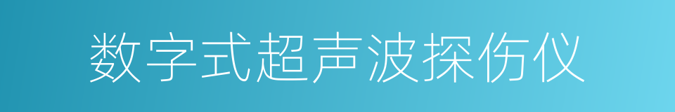 数字式超声波探伤仪的同义词