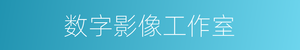 数字影像工作室的同义词