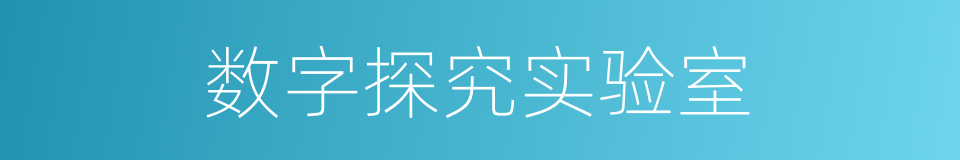 数字探究实验室的同义词