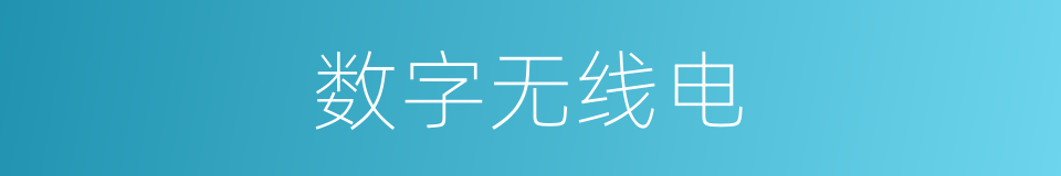 数字无线电的同义词
