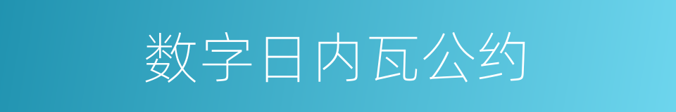 数字日内瓦公约的同义词