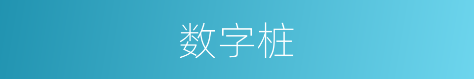 数字桩的同义词